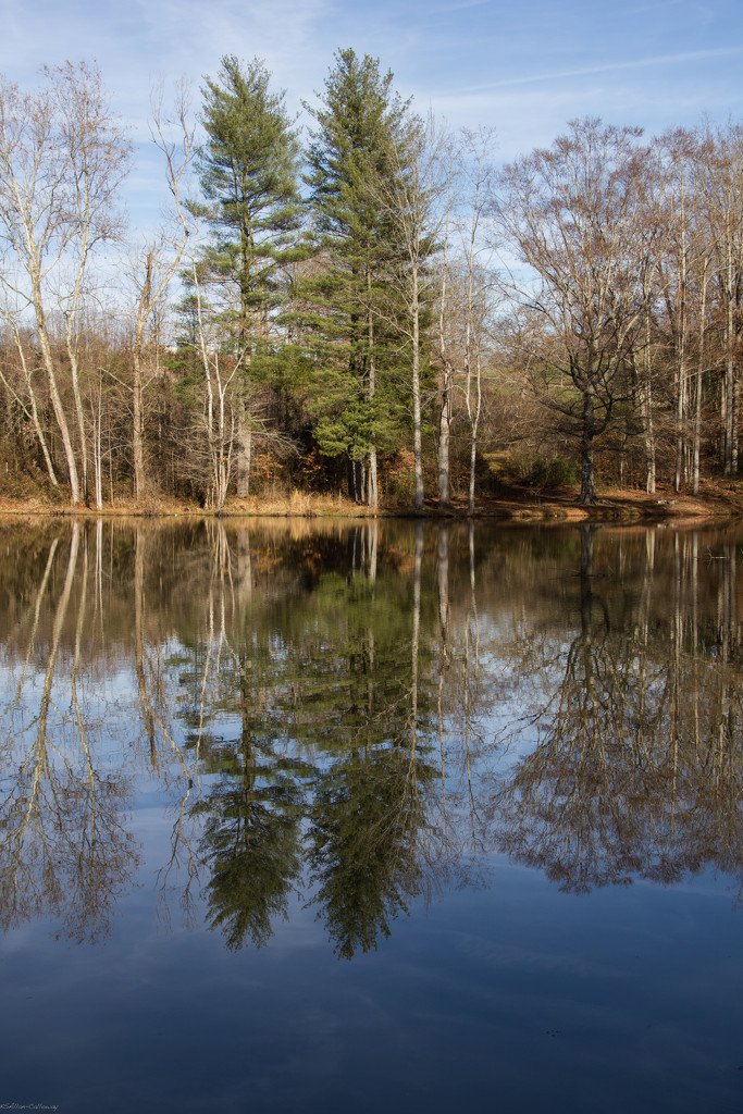 Broughton pond by randystreat