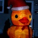 Christmas Duck by jo38