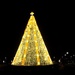 National Christmas Tree by lesip