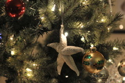 4th Dec 2015 - Christmas tree