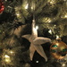 Christmas tree by kathyrose