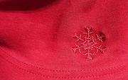 7th Dec 2015 - Red snowflake