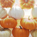 Mini Pumpkins by ingrid01