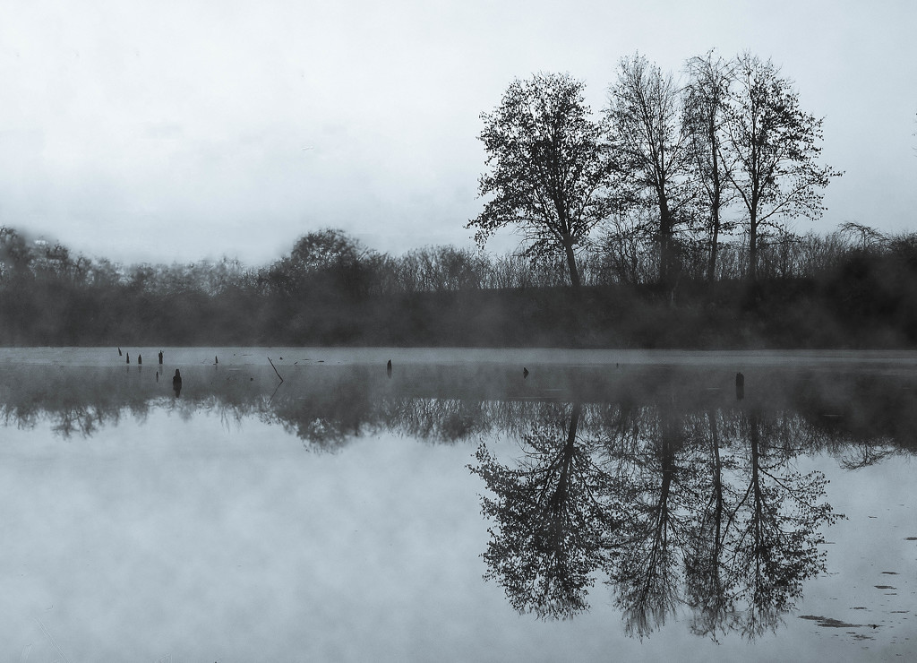 Confluence Pond Sunrise on a Foggy Day by jae_at_wits_end