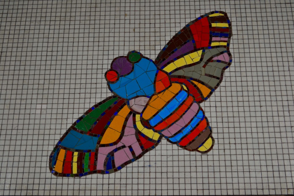 Mosaic moth by tomdoel