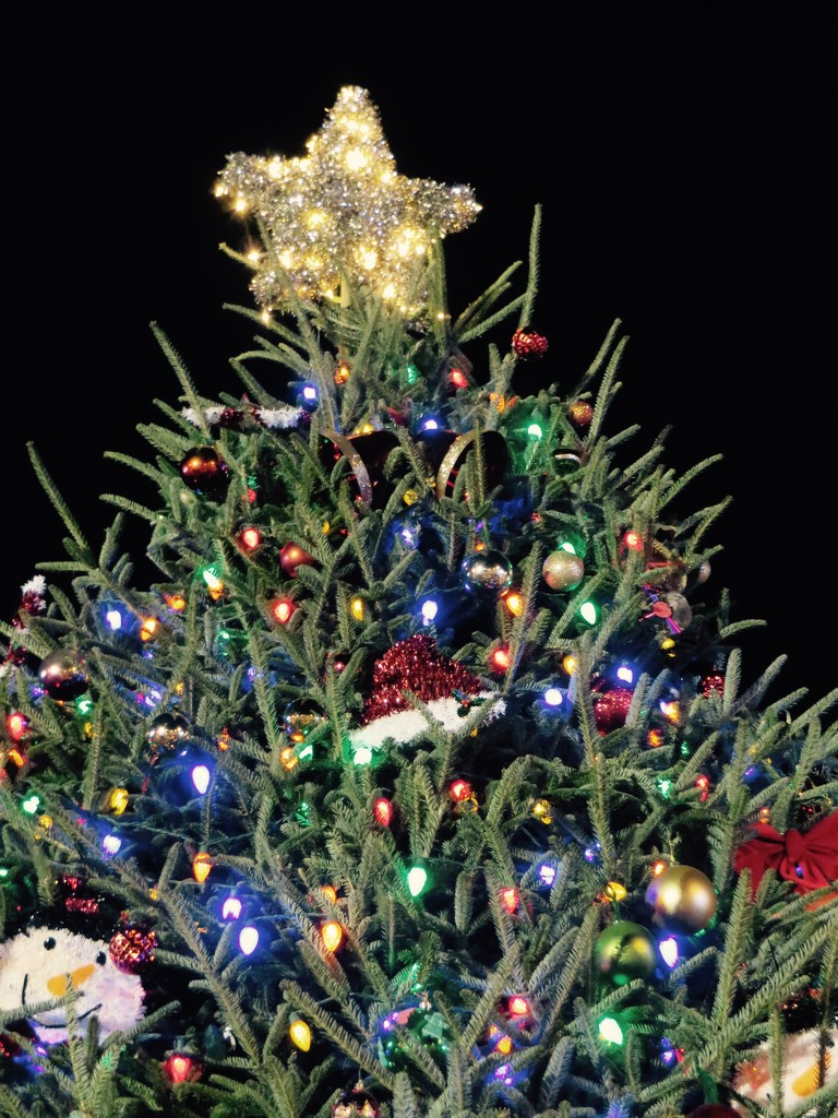 Main Street Tucker Christmas Tree by margonaut