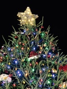 5th Dec 2015 - Main Street Tucker Christmas Tree