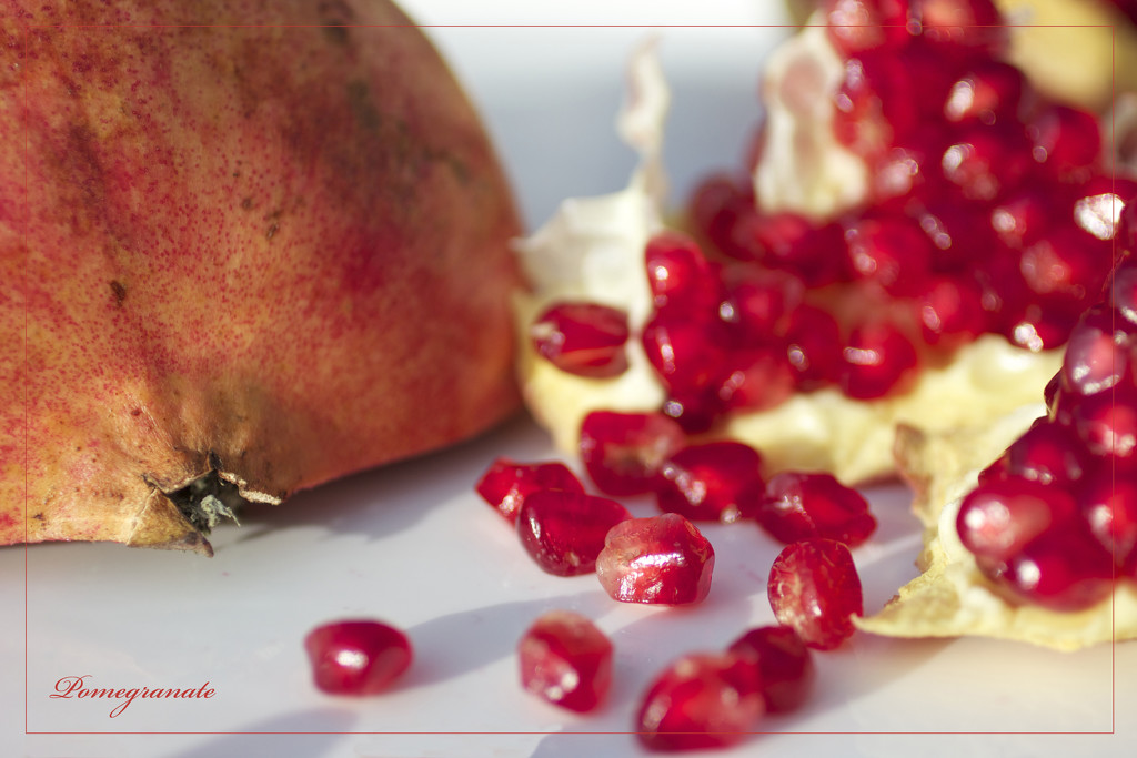 Pomegranate by jamibann