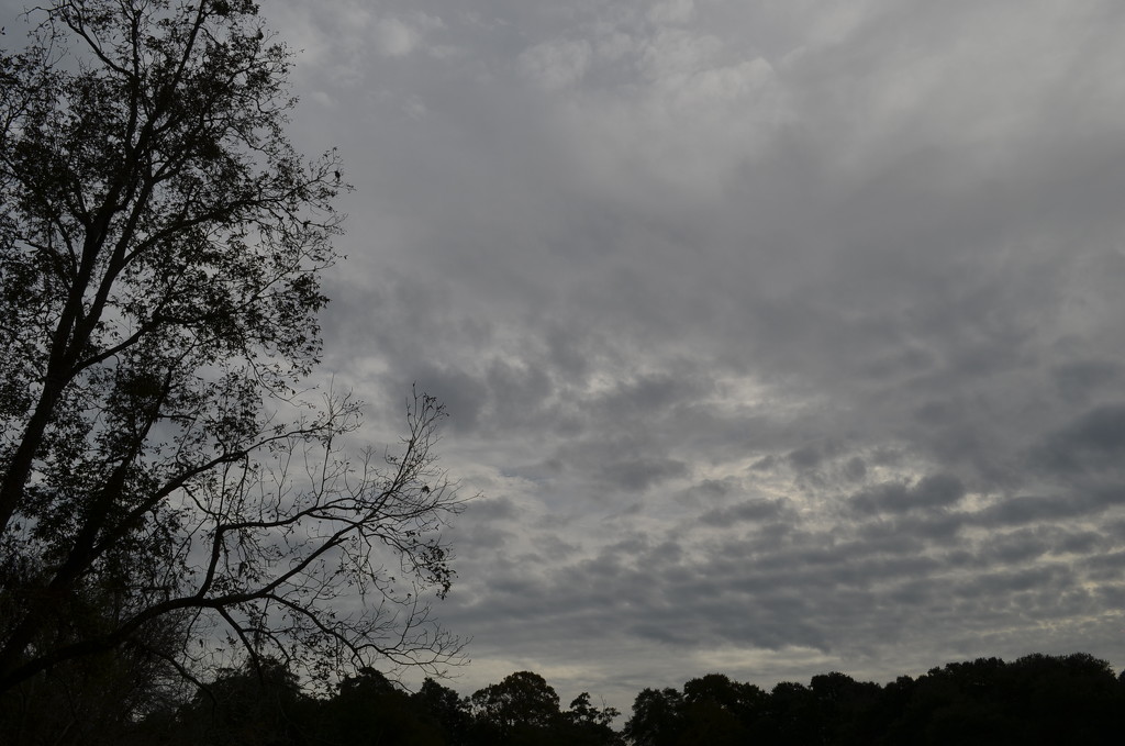 Skies over Magnolia Gardens by congaree