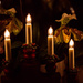 8th December 2015   - Orchid by Candlelight by pamknowler