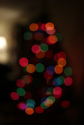 7th Dec 2015 - Abstract Tree Lights
