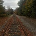 Railroad tracks by pfaith7
