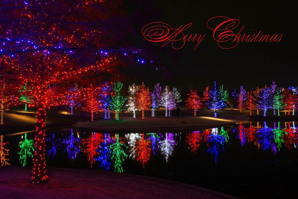 The Christmas Season by lynne5477