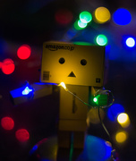 7th Dec 2015 - danbo lights