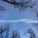 Composition with sky, branches, and contrail by mcsiegle