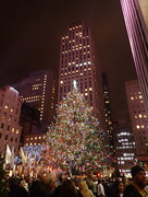9th Dec 2015 - Christmas Tree - New York City