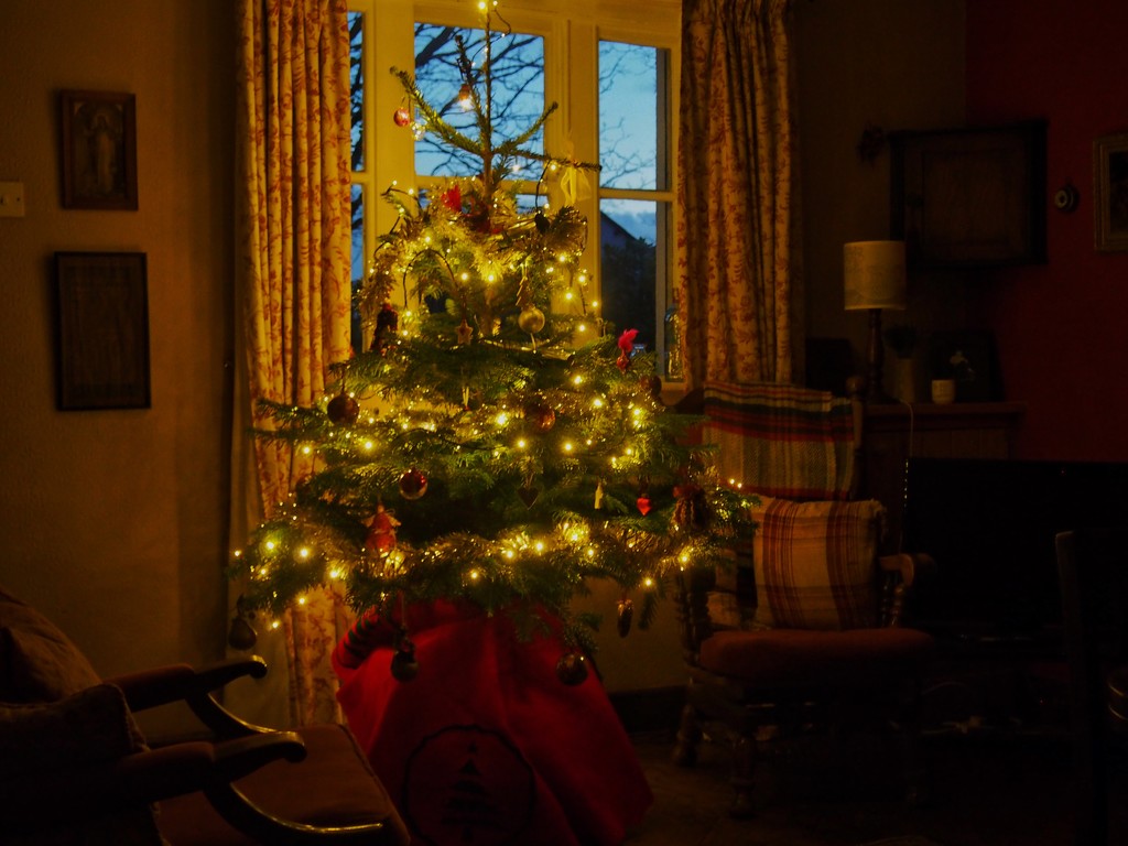Christmas tree  by happypat
