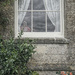 338 - Lady in the window by bob65