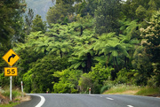 10th Dec 2015 - The drive back to Wellington