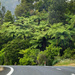 The drive back to Wellington by kiwichick