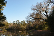 11th Dec 2015 - Lake, Poinsett State Park, Sumter County, South Carolina