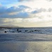 Seascale by the sea by countrylassie