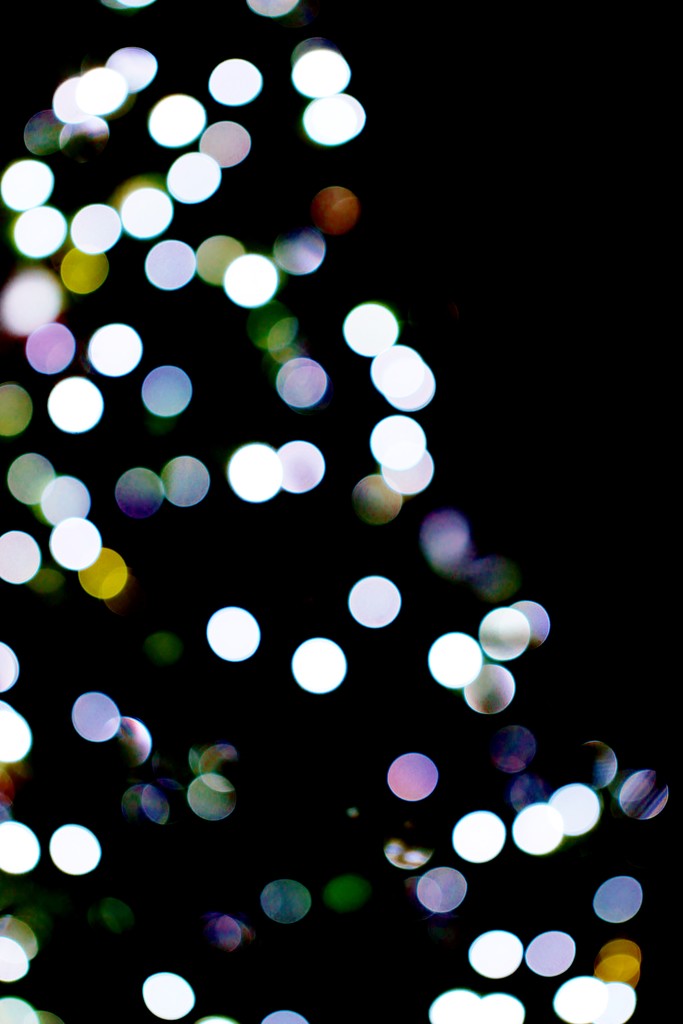 Tree Of Lights by motherjane