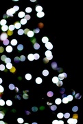 4th Dec 2015 - Tree Of Lights