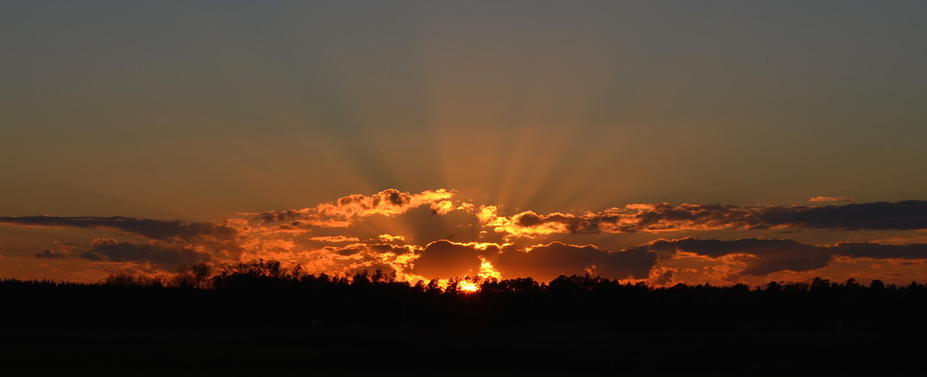 Sunset, rural Orangeburg County, South Carolina by congaree