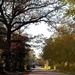 Street scene, late Autumn, Summerton, SC by congaree