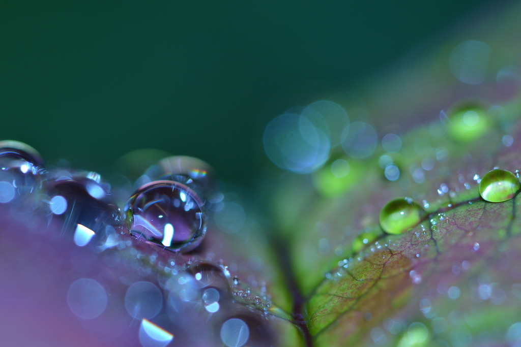Baubles of a different colour....droplets by ziggy77