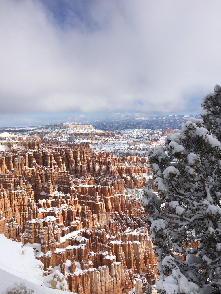 Bryce Canyon by graceratliff