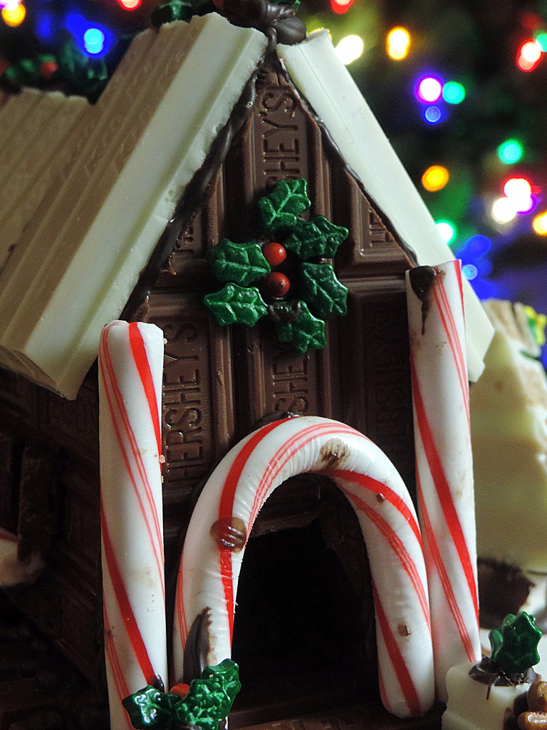 Candy Christmas House by homeschoolmom