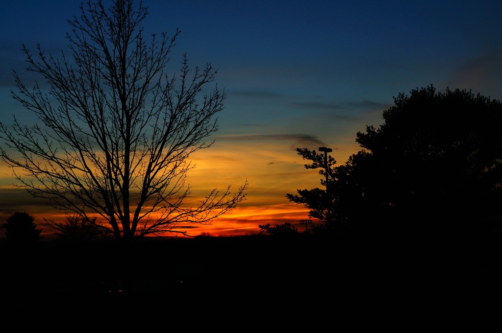 Sunset by dianen