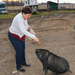 Phoebe the pig sits for flax seed rye bread. Good girl Phoebe! by hellie