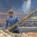 Timber worker, Mangrove Tree, Perak by ianjb21