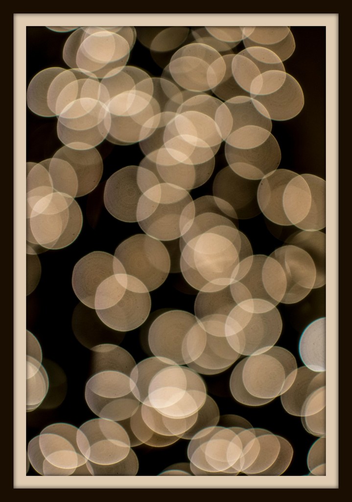 Christmas Light Abstract by ckwiseman