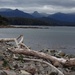 Cockle Bay Tasmania  by pusspup
