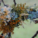 oak tree lichen_36:365 by gaylewood
