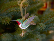 10th Dec 2015 - Newest Ornament - Hummingbird