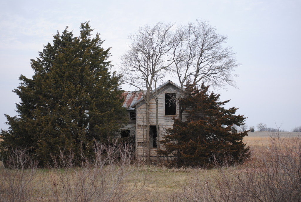 Empty House on the Prairie by genealogygenie