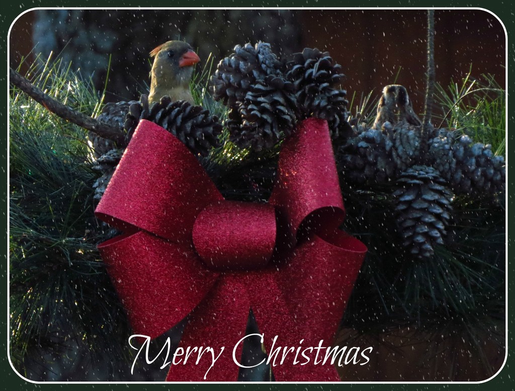 My Christmas Card to You All by milaniet