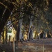 "Shady Grove"... by tellefella