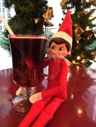 15th Dec 2010 - Elf just loves to drink!