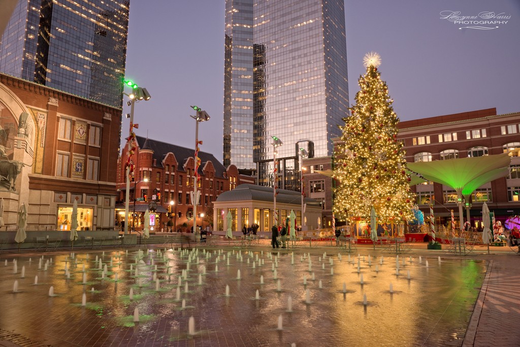 Christmas in Sundance Square by lynne5477