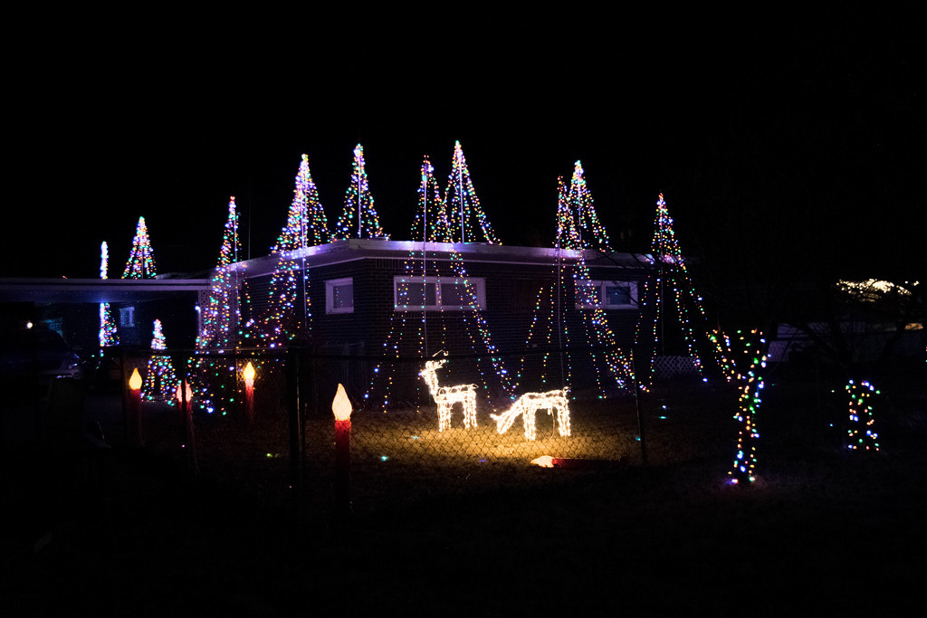 I Love Christmas Lights by ckwiseman