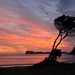Pauanui Sunrise 3 by nickspicsnz