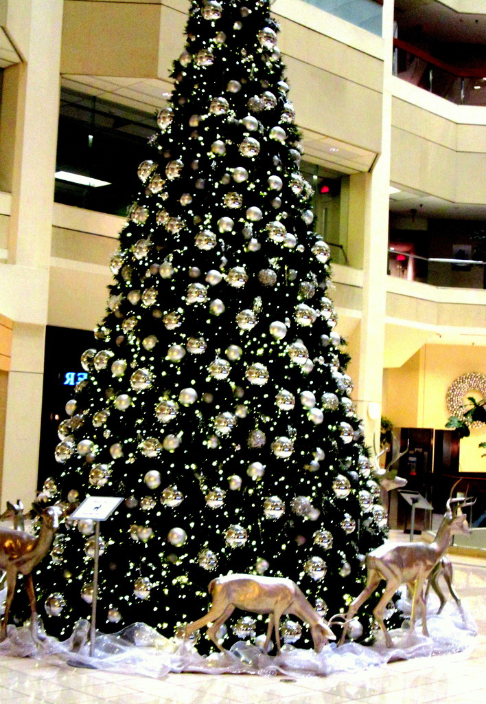 Christmas display by bruni