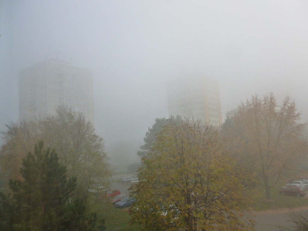 Foggy morning by gabis