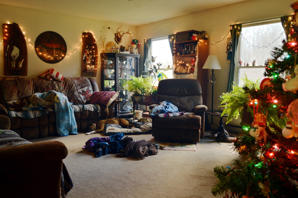 Living Room with dog and blankets (and decorations) by francoise